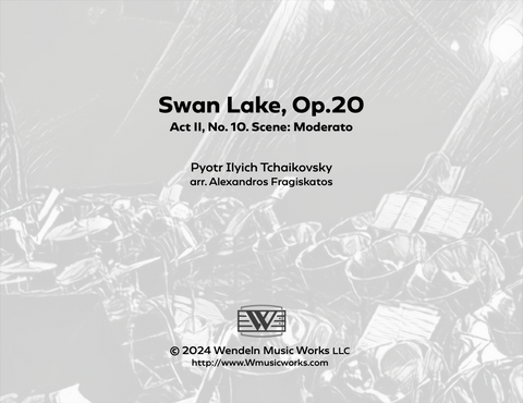 Swan Lake Op.20